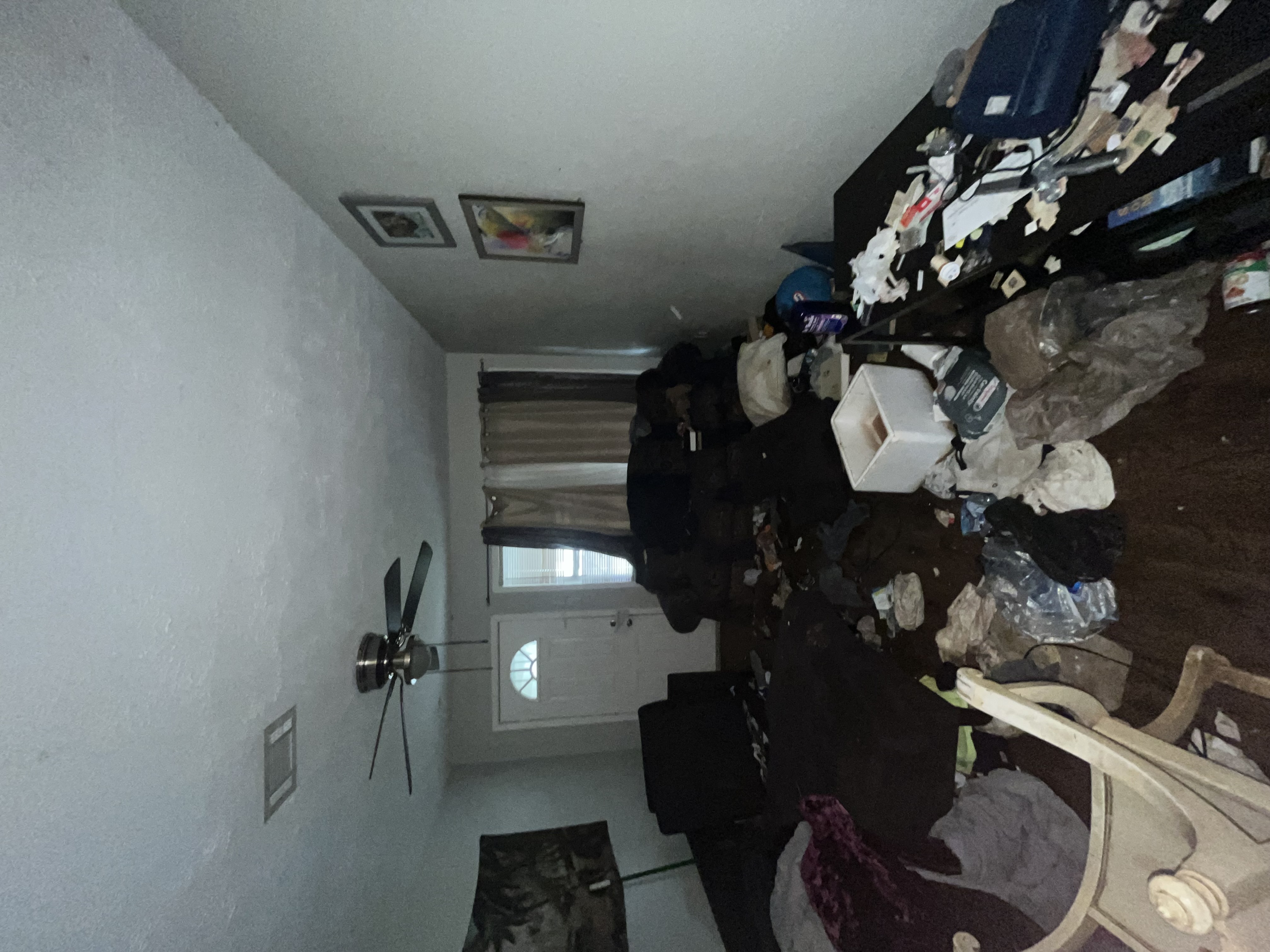 Before junk removal — Job 2