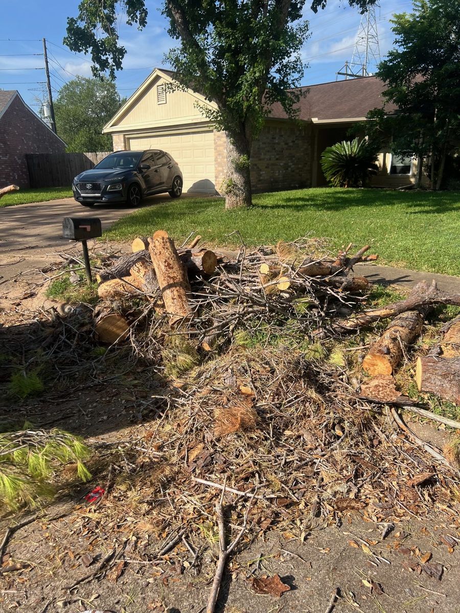 Cut tree limbs and storm debris cleared from a League City yard