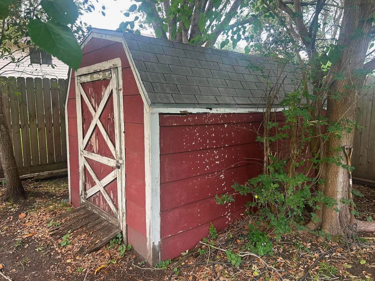 Old backyard shed cleared and ready for removal